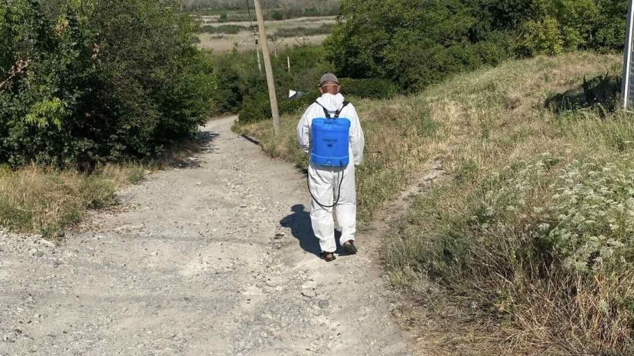 Дезинсекцию из-за нашествия саранчи начали на Запорожье – кадры