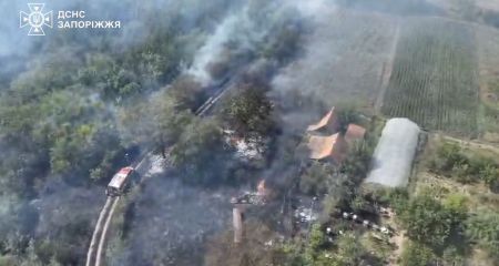Полум’я підступило до будинків: на Запоріжжі горіли три гектари сухостою
