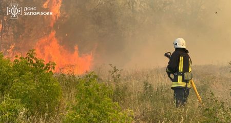 Пожежі пошкодили 56 гектарів екосистем на Запоріжжі
