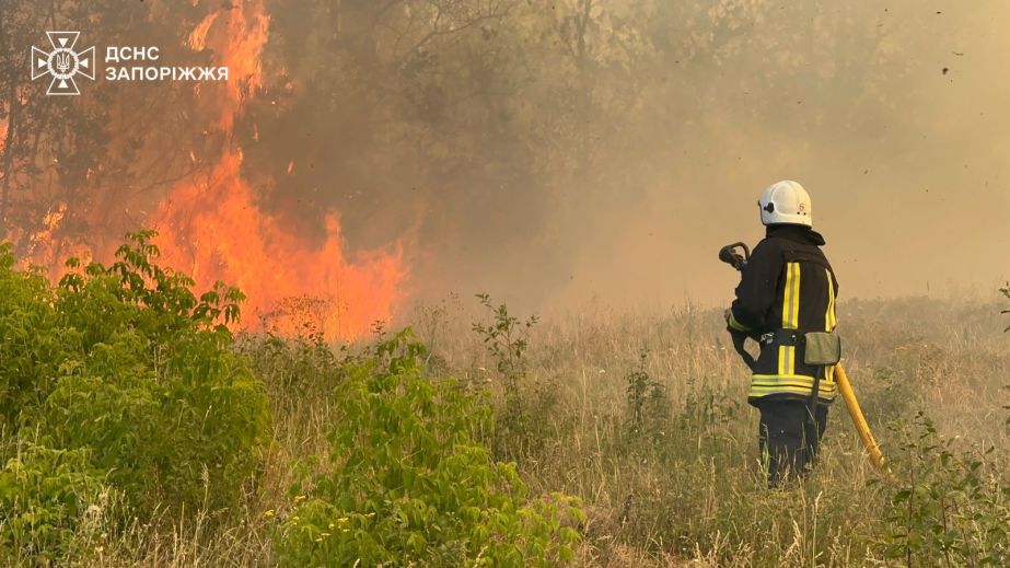 Пожежі пошкодили 56 гектарів екосистем на Запоріжжі