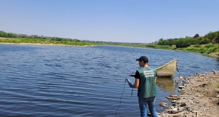 Мор риби поблизу Кушугума на Запоріжжі: що показав аналіз води