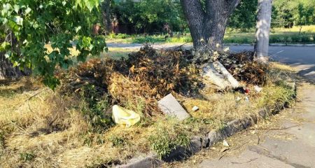 Понад 60 м² сміття: у Запоріжжі виявили стихійні звалища