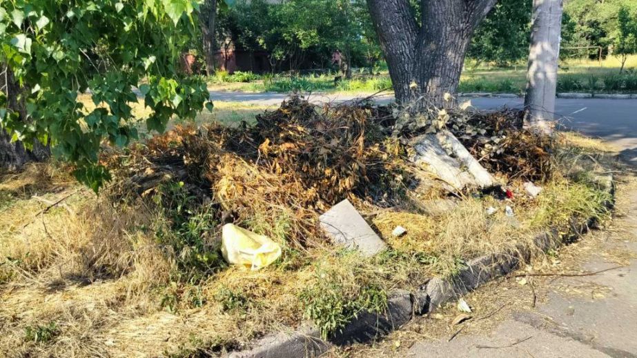 Более 60 м² мусора: в Запорожье обнаружили стихийные свалки