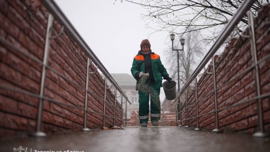 Гололед на Запорожье: более 50 единиц спецтехники работают на автодорогах