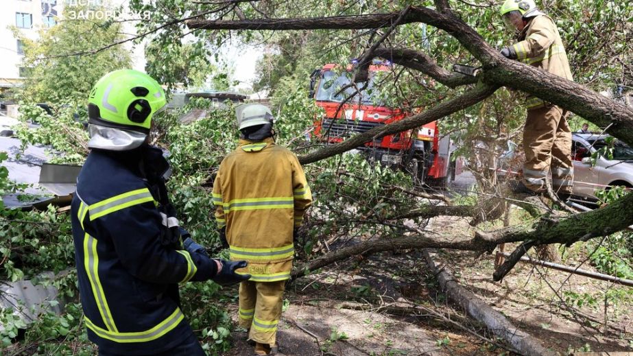 Вирвані з коренем дерева та перебої зі світлом: наслідки негоди у Запоріжжі