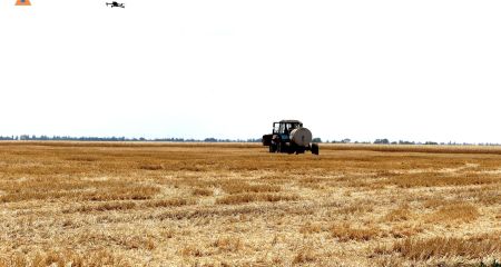 Пожежі знищили понад 38 гектарів врожаю на Запоріжжі
