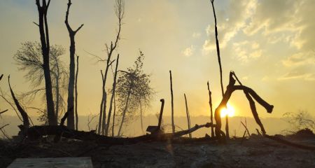 Вогонь охопив понад 9 гектарів екосистем на Запоріжжі