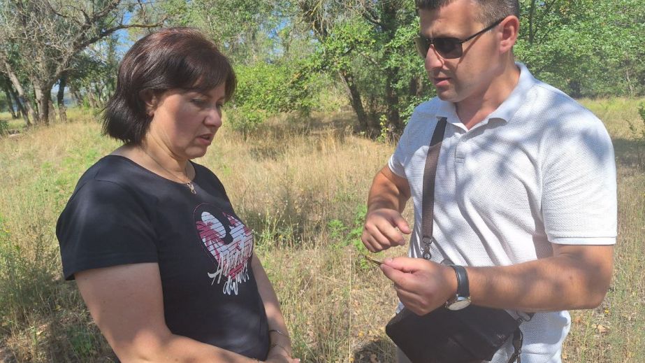 "Дубовку" и Набережную в Запорожье проверили на наличие саранчи