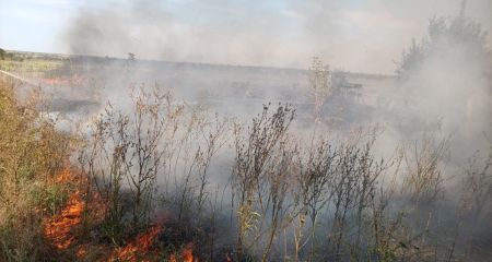 26 пожаров бушевали в экосистемах на Запорожье