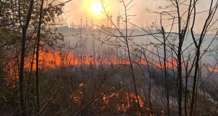 Масштабну пожежу зупинили рятувальники у Запорізькому районі