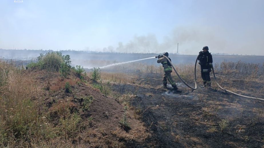 Запорізький район потерпає від масштабних пожеж в екосистемах