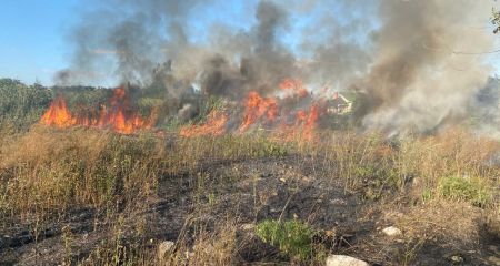 Огонь охватил более 12 гектаров экосистем на Запорожье