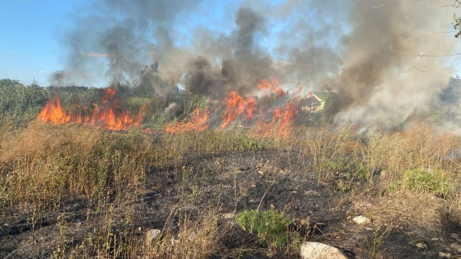 Вогонь охопив понад 12 гектарів екосистем на Запоріжжі