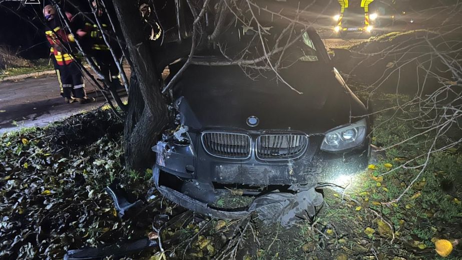 Не впорався з керуванням: у Запоріжжі водій BMW врізався у дерево