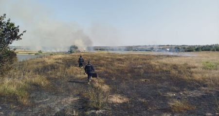 Ребенок играл со спичками и устроил масштабный пожар под Запорожьем