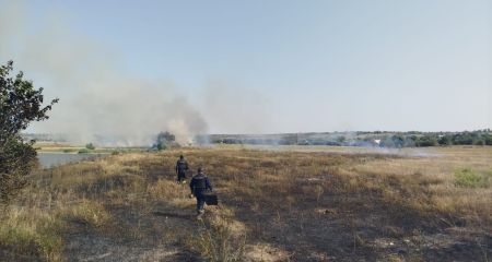 Вогонь охопив понад 17 гектарів екосистем на Запоріжжі