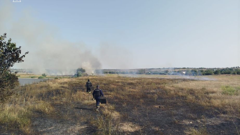 Огонь охватил более 17 гектаров экосистем на Запорожье