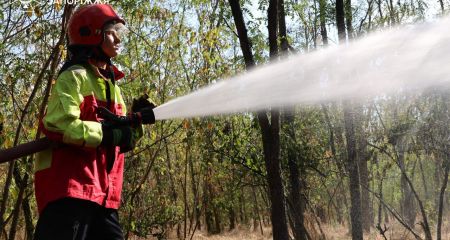 35 пожаров бушевали в экосистемах на Запорожье