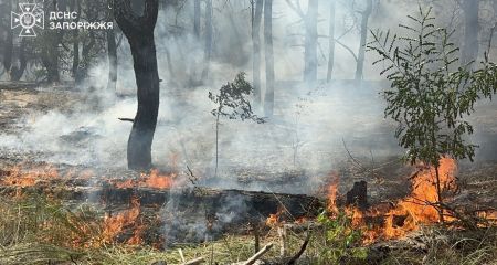 В Запорожье произошел масштабный пожар на Хортице