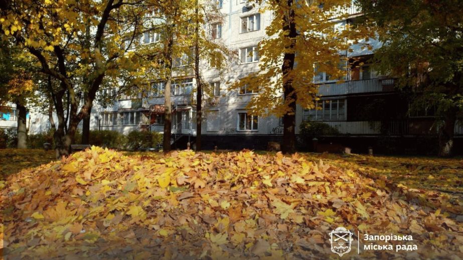 Бульдозером собирают опавшие листья в Запорожье – кадры