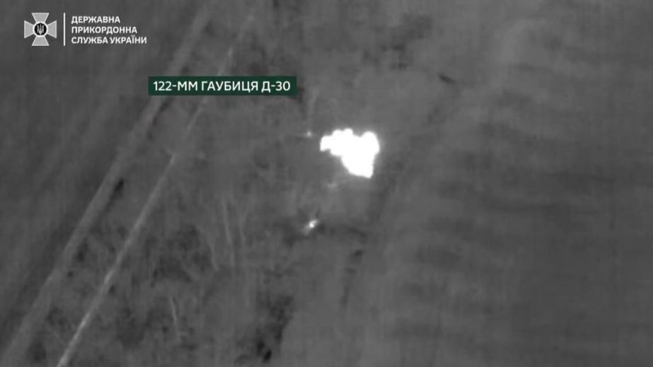 FPV-дрони знищують ворога на Запорізькому напрямку, – кадри ДПСУ