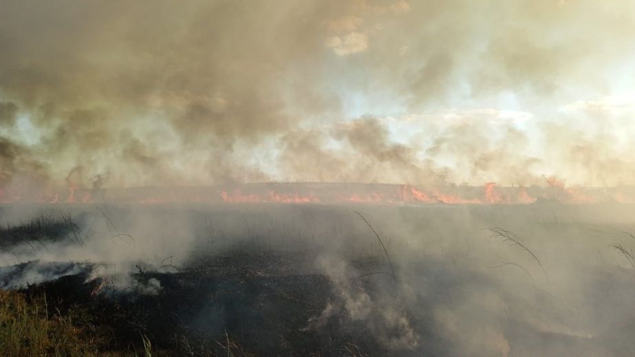 Пожежі знищили 17 гектарів екосистем Запорізької області