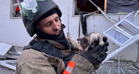 В Запорожье ГСЧС спасла котенка из охваченного огнем здания