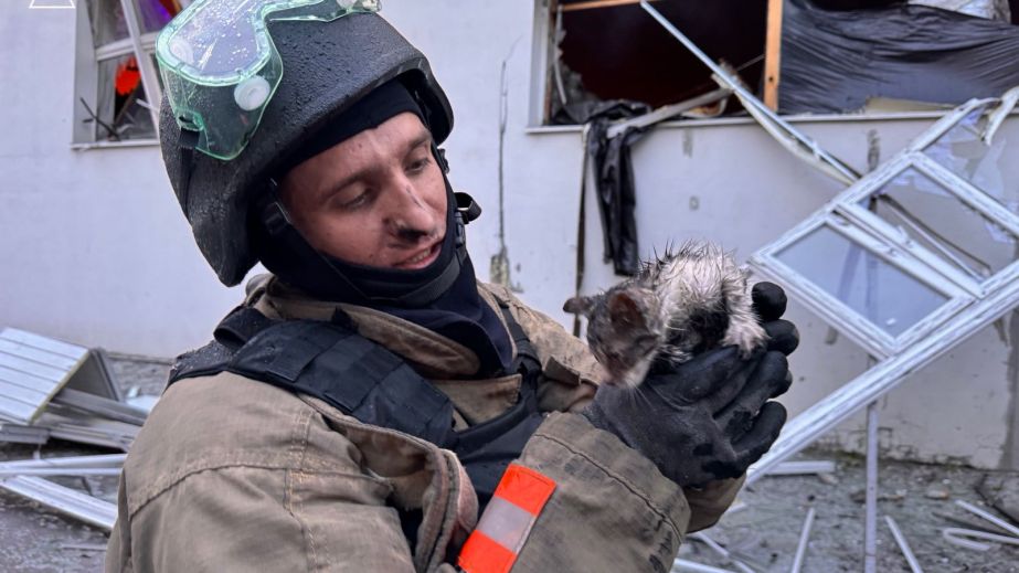 У Запоріжжі ДСНС врятували кошеня з охопленої вогнем будівлі