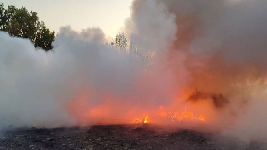 Восемь пожаров бушевали в экосистемах Запорожской области