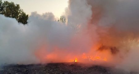 Сім пожеж вирували в екосистемах Запорізької області