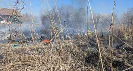 На Запоріжжі вигоріли близько 3 гектарів екосистем