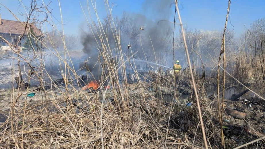 На Запорожье выгорели около 3 гектаров экосистем