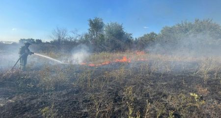 Вогонь знищив понад 3 гектари екосистем Запорізької області