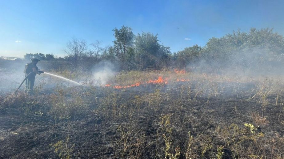 Вогонь знищив понад 3 гектари екосистем Запорізької області