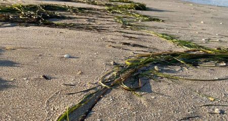 Росіяни затвердили "стратегію розвитку Приазов&rsquo;я" &ndash; що відомо