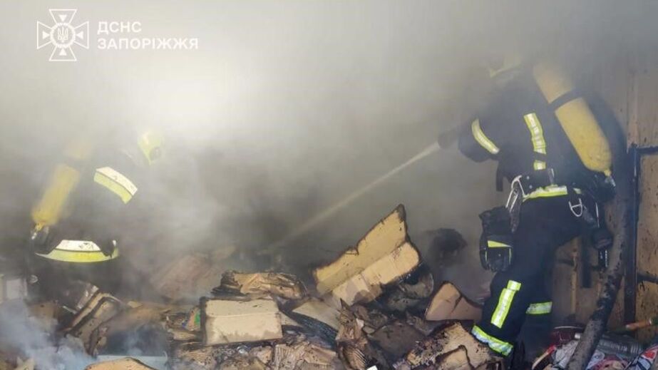 Є загибла: у Запоріжжі палали гаражі та сухостій