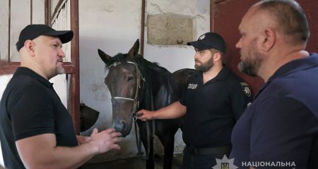 К конному патрулю запорожской полиции присоединились новые скакуны