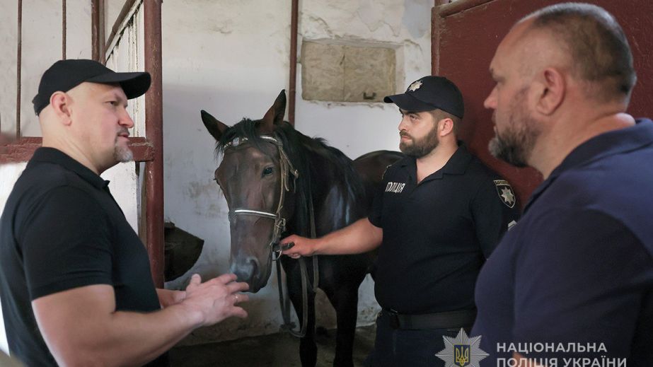 До кінного патруля запорізької поліції приєдналися нові скакуни