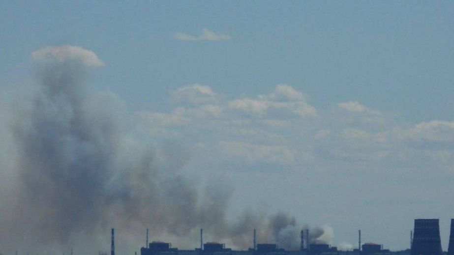 Вблизи запорожского Энергодара вспыхнул пожар в лесополосе, – Андрющенко