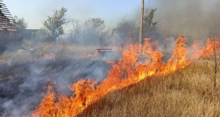 Пожары уничтожили более 5 гектаров экосистем в Запорожской области