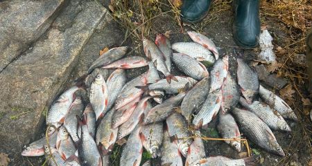 Запорізькі рибалки наловили плітки "з лишком” – результати рейду