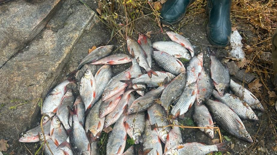 Запорожские рыбаки наловили плотвы "с лихвой" – результаты рейда