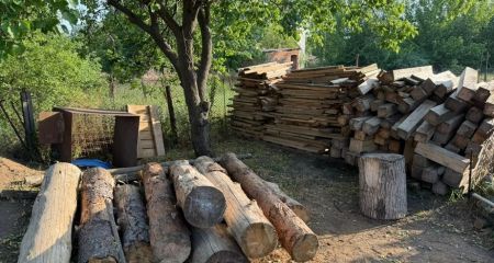 Збитків на майже 900 тис. грн: на Запоріжжі викрили "чорних" лісорубів