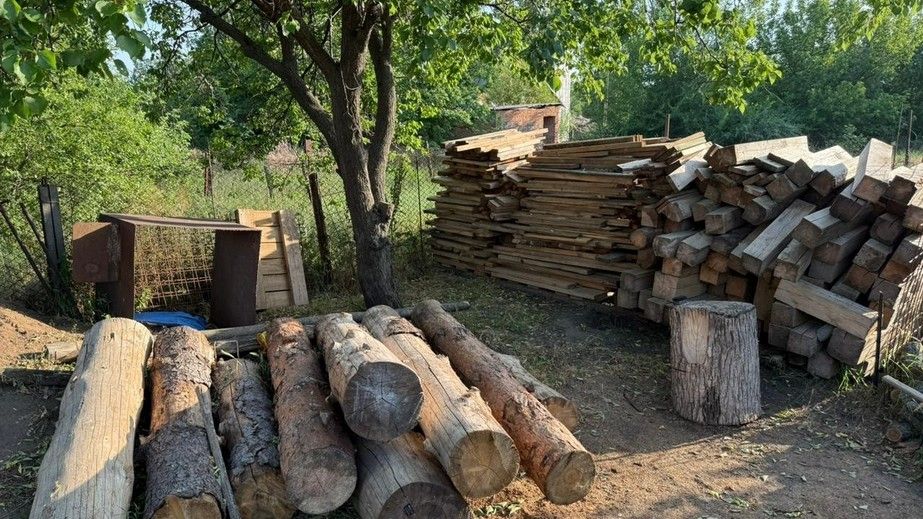 Збитків на майже 900 тис. грн: на Запоріжжі викрили "чорних" лісорубів