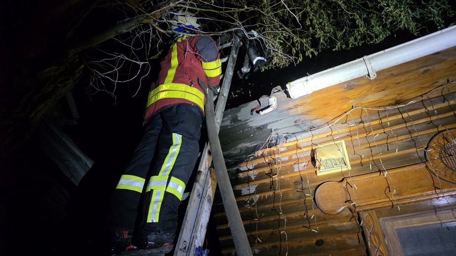 Баня пылала в одном из районов Запорожья – кадры