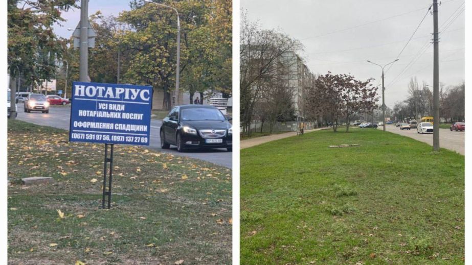 У Запоріжжі перевірили СТО, магазини й заклади харчування – що шукали