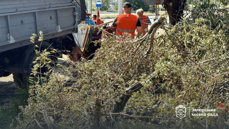 Дві тонни гілля вивезли з центру Запоріжжя: як утилізують деревні залишки