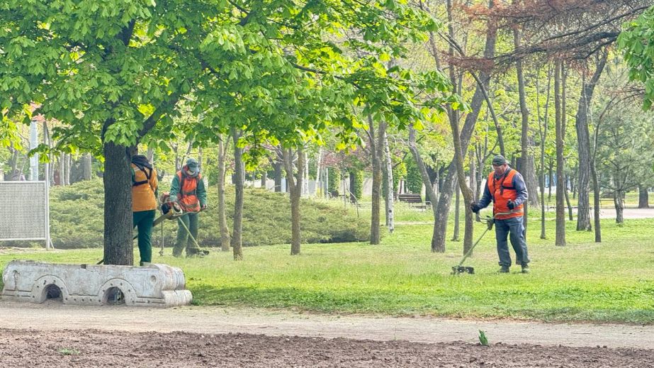 Понад 35 га трави викосили в Запоріжжі &ndash; де тривали роботи