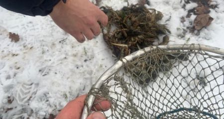 Пірнав за раками із аквалангом: під Запоріжжям упіймали браконьєра