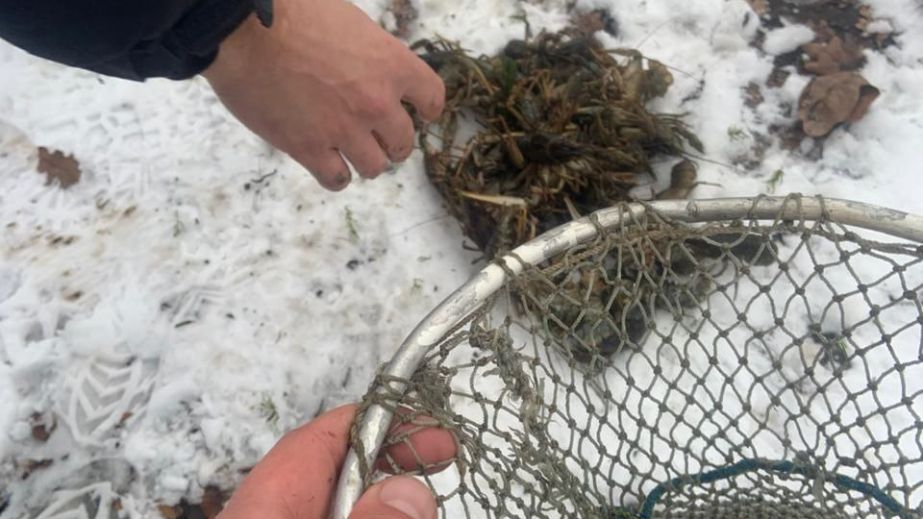 Нырял за раками с аквалангом: под Запорожьем поймали браконьера